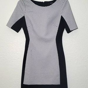 BCBG Paris Polka Dot Dress
